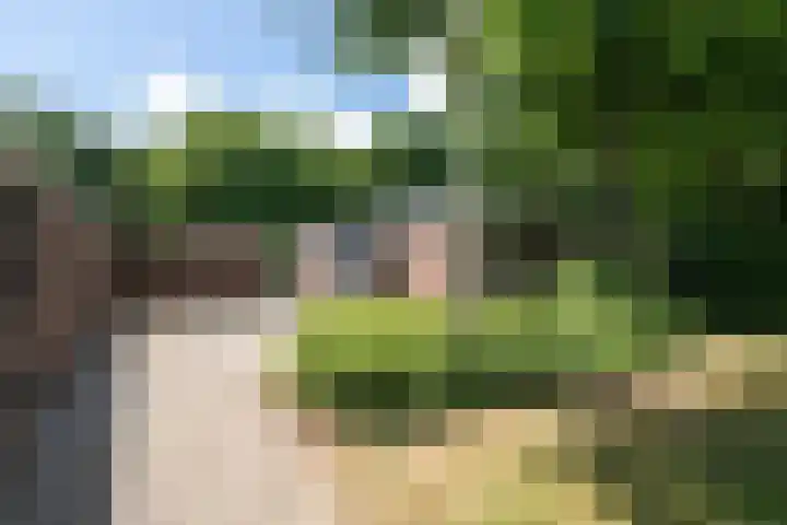 Laan van de Marel 520 Emmen thumbnail 40