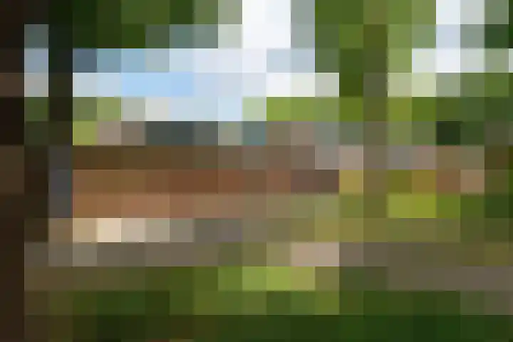 Laan van de Marel 520 Emmen thumbnail 41