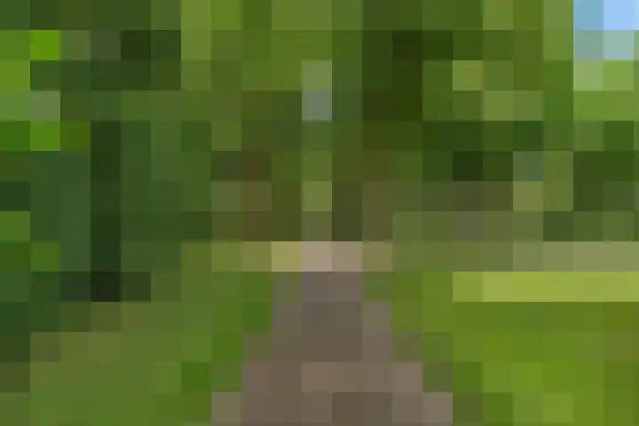 Laan van de Marel 520 Emmen thumbnail 42