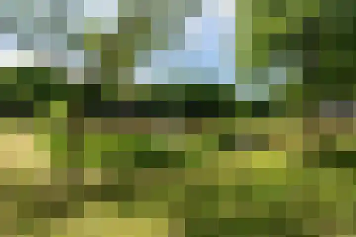 Laan van de Marel 520 Emmen thumbnail 43