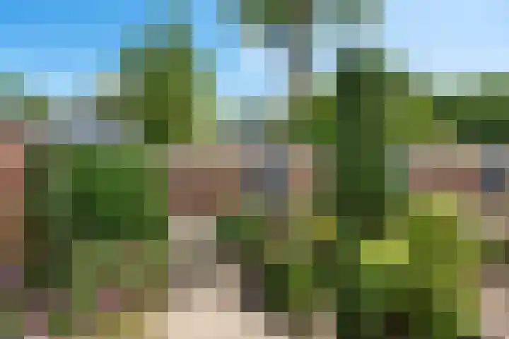 Laan van de Marel 520 Emmen thumbnail 8
