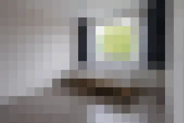 Laan van de Marel 532 Emmen thumbnail 20