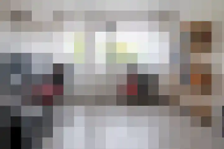 Laan van de Marel 532 Emmen thumbnail 21