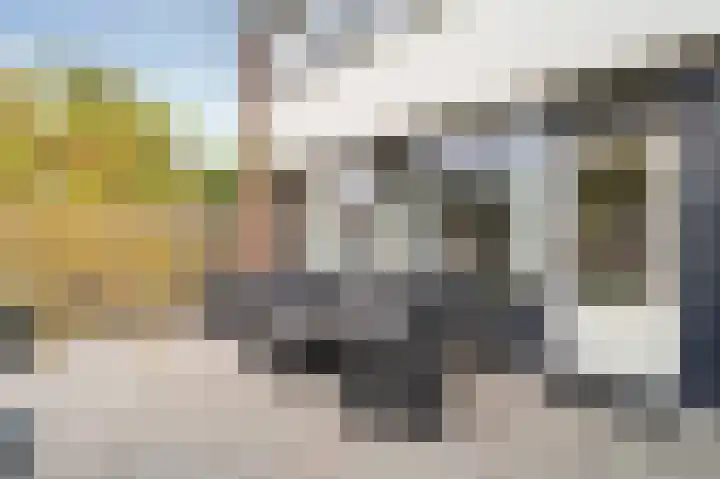 Laan van de Marel 532 Emmen thumbnail 26