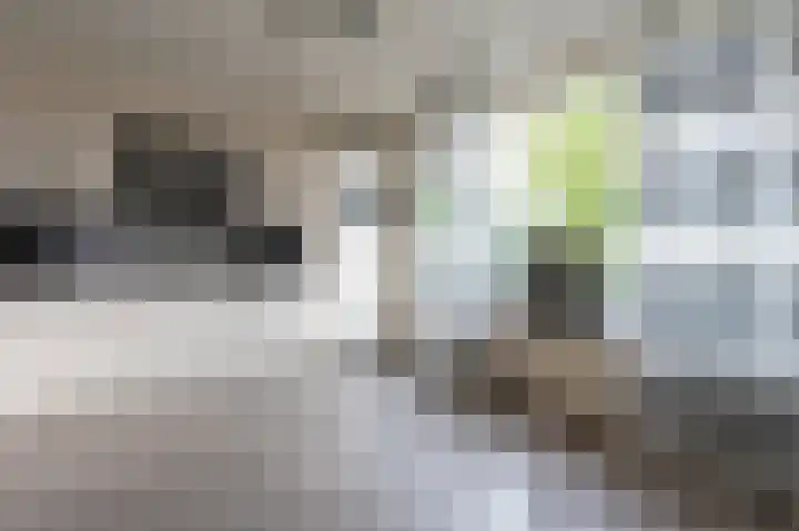 Laan van de Marel 532 Emmen thumbnail 4