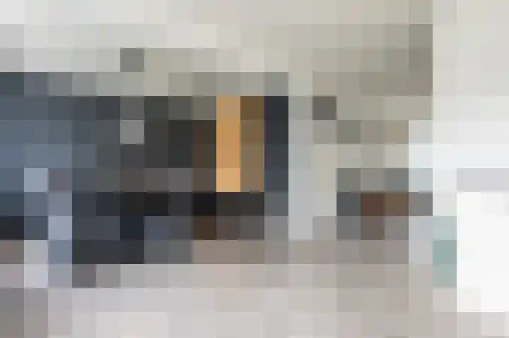 Laan van de Marel 532 Emmen thumbnail 5