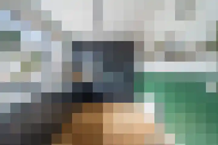 Laan van de Mensenrechten 107 Den Haag thumbnail 13