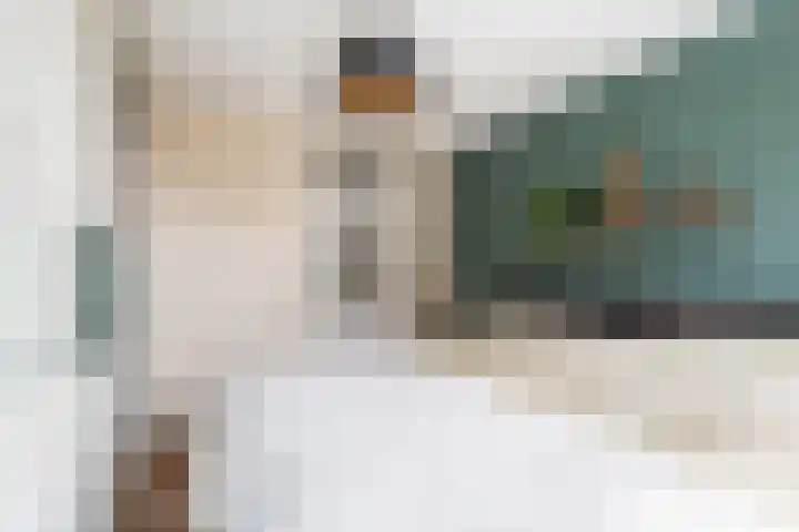 Laan van de Mensenrechten 107 Den Haag thumbnail 18