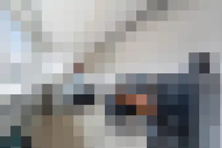 Laan van de Mensenrechten 107 Den Haag thumbnail 29
