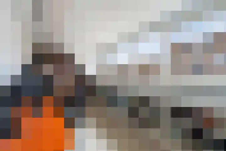 Laan van de Mensenrechten 107 Den Haag thumbnail 31