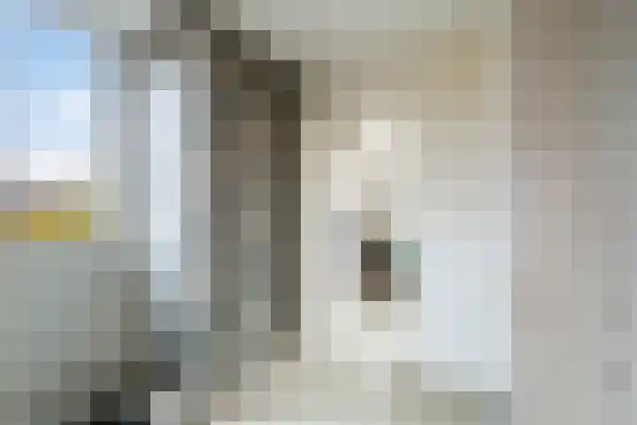 Laan van de Mensenrechten 107 Den Haag thumbnail 32