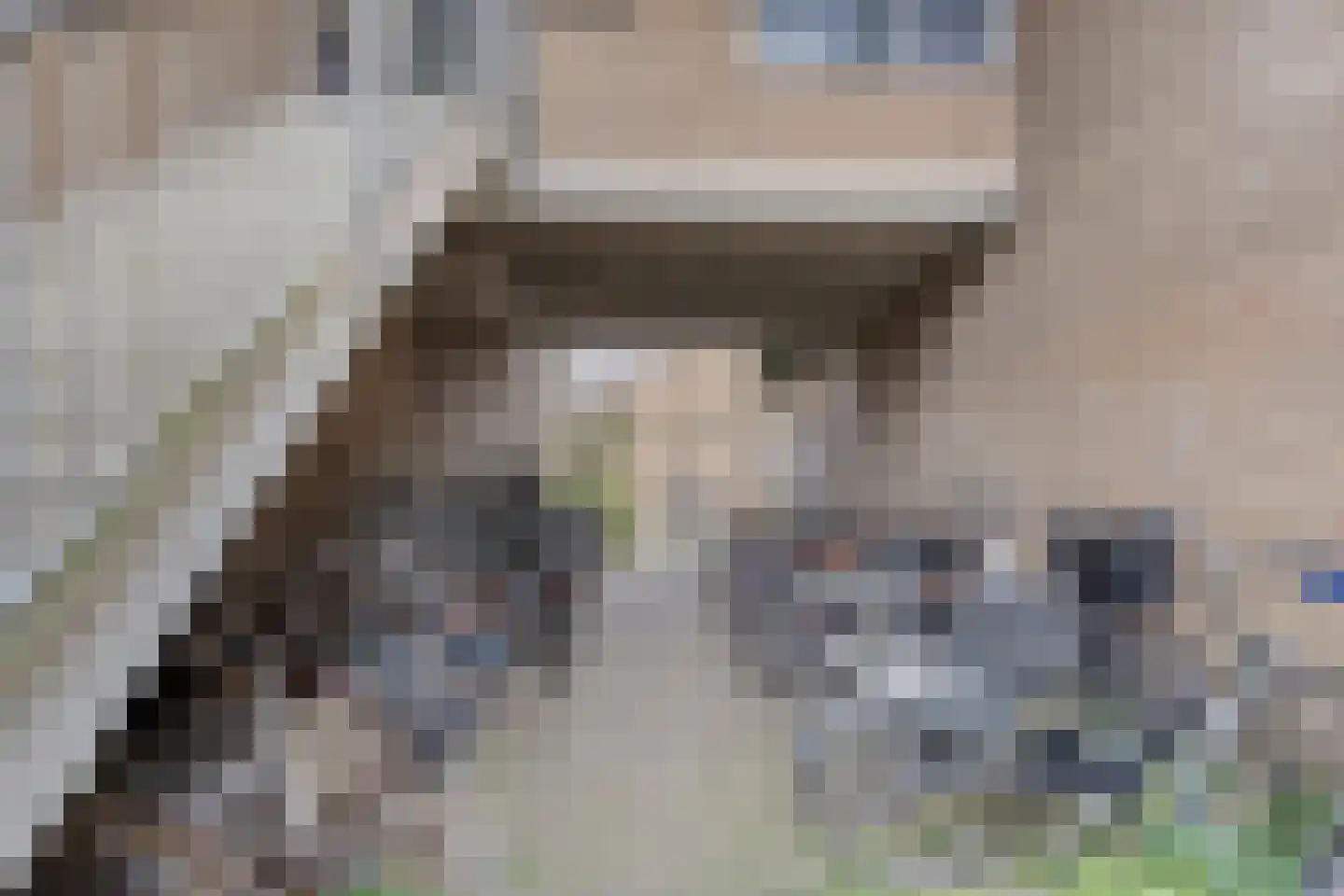 Laan van de Mensenrechten 108 Den Haag thumbnail 43