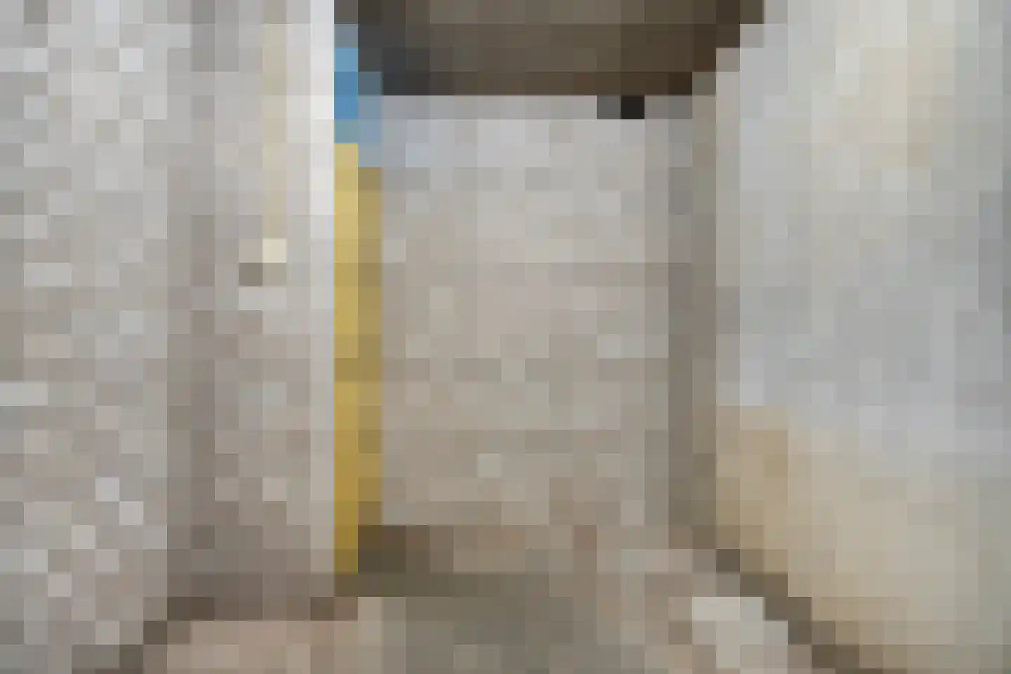Laan van de Mensenrechten 108 Den Haag thumbnail 46