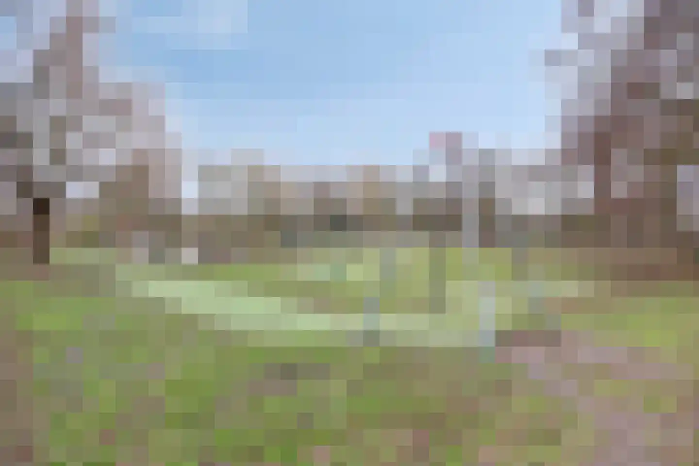 Laan van de Mensenrechten 108 Den Haag thumbnail 50