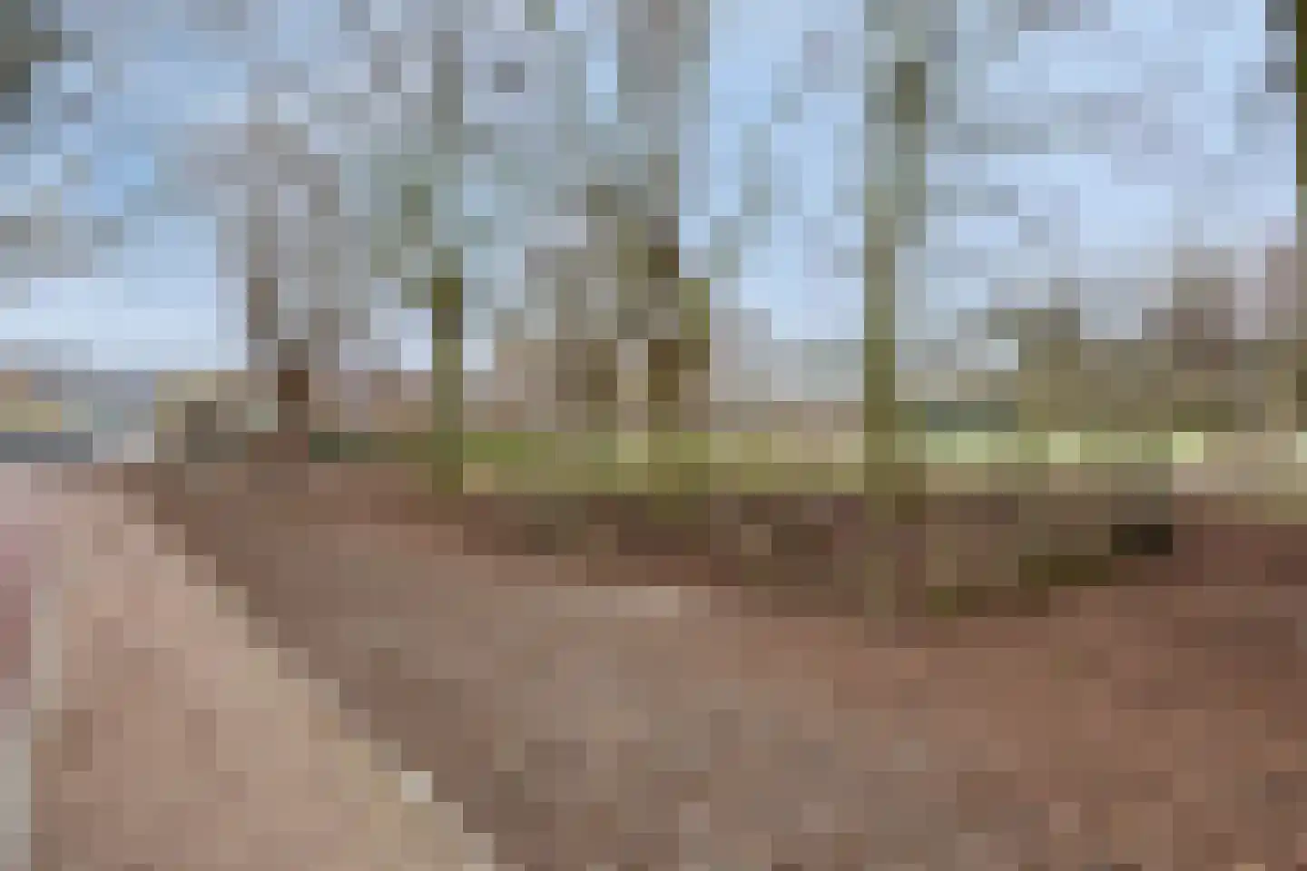 Laan van de Mensenrechten 108 Den Haag thumbnail 51