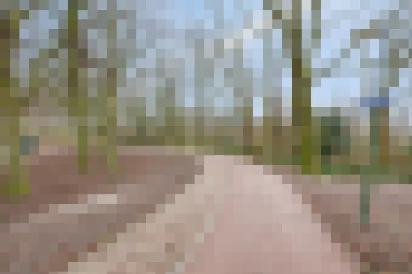 Laan van de Mensenrechten 108 Den Haag thumbnail 52