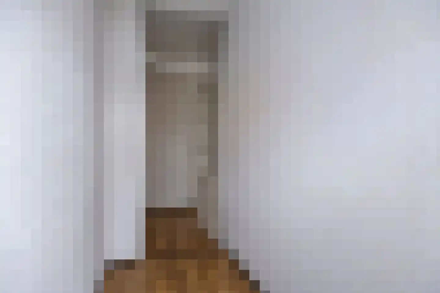 Laan van de Mensenrechten 108 Den Haag thumbnail 6