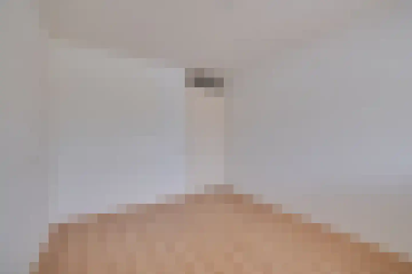 Laan van de Mensenrechten 110 Apeldoorn thumbnail 13