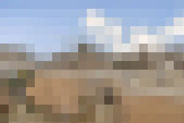 Laan van de Mensenrechten 122 Den Haag thumbnail 13