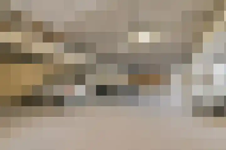 Laan van de Mensenrechten 122 Den Haag thumbnail 18