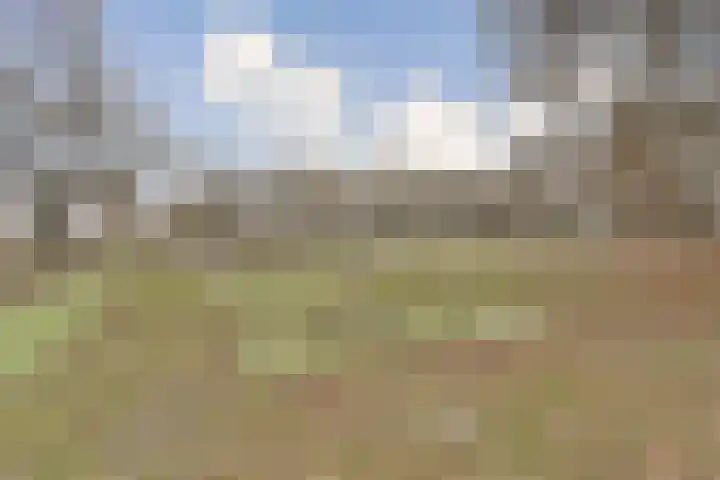 Laan van de Mensenrechten 122 Den Haag thumbnail 19