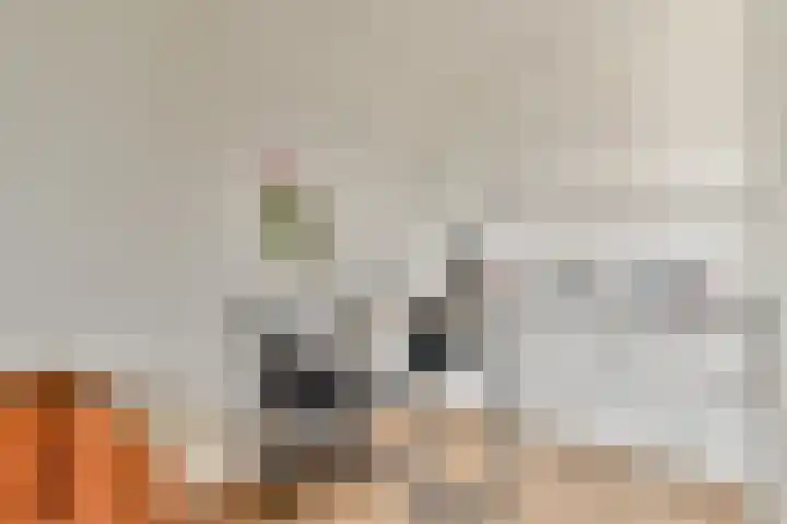 Laan van de Mensenrechten 122 Den Haag thumbnail 9