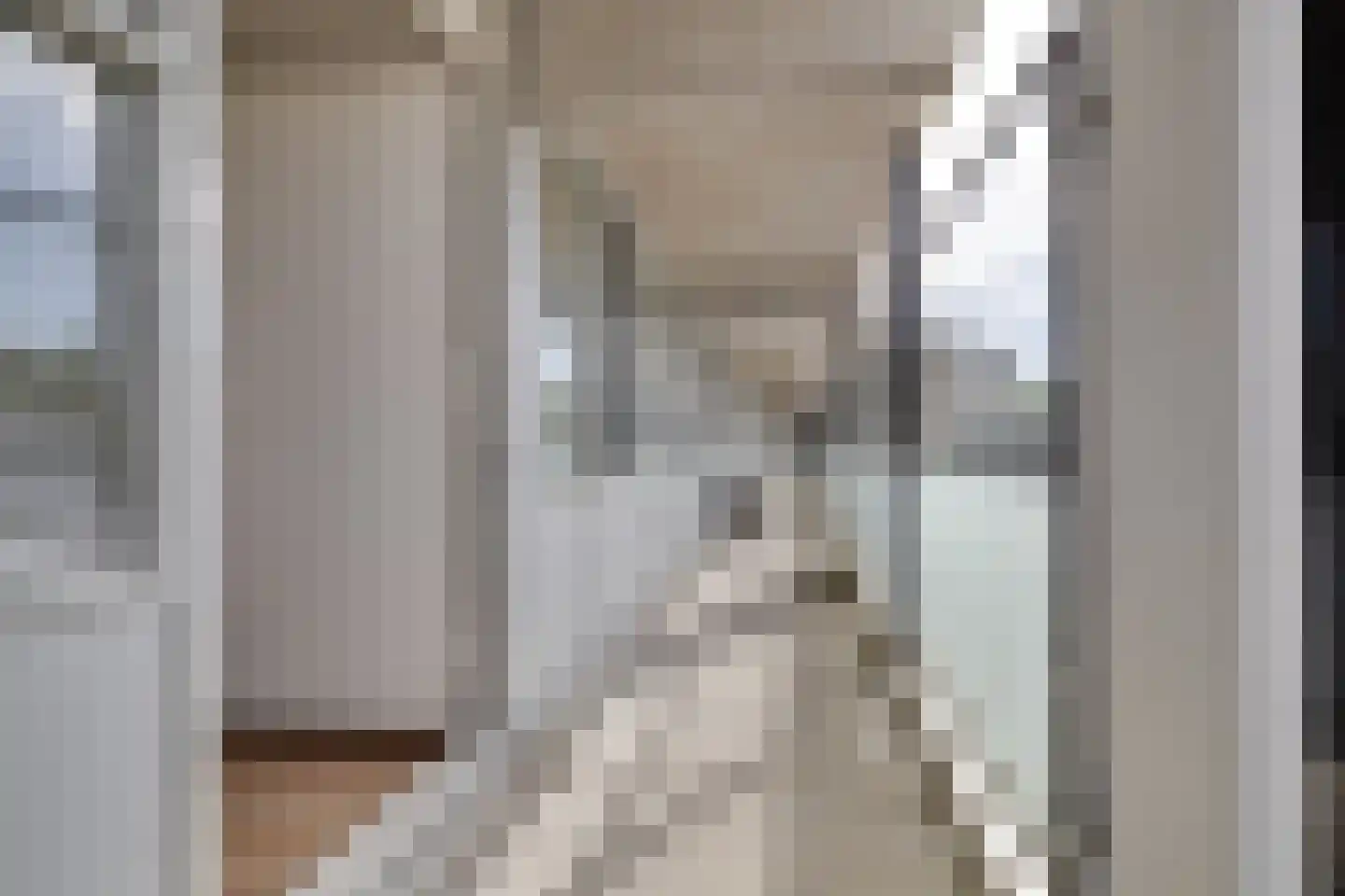 Laan van de Mensenrechten 134 Apeldoorn thumbnail 21