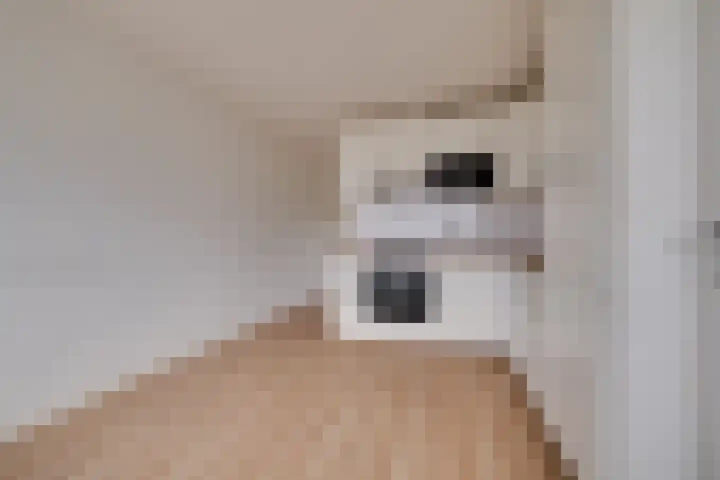 Laan van de Mensenrechten 134 Apeldoorn thumbnail 9