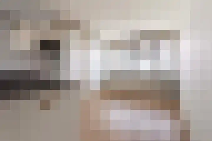 Laan van de Mensenrechten 138 Apeldoorn thumbnail 16