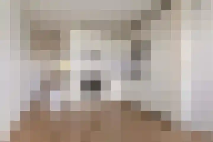 Laan van de Mensenrechten 138 Apeldoorn thumbnail 17