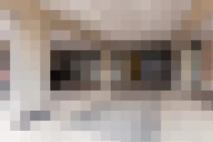 Laan van de Mensenrechten 138 Apeldoorn thumbnail 23