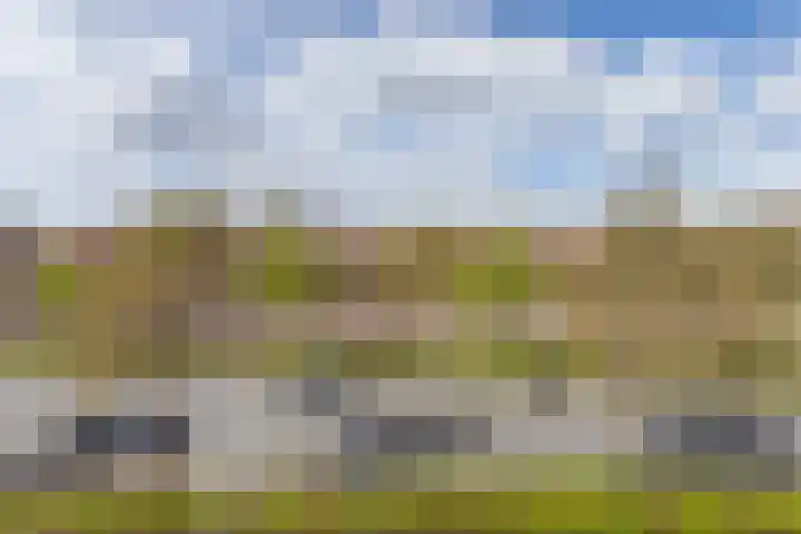 Laan van de Mensenrechten 138 Apeldoorn thumbnail 28