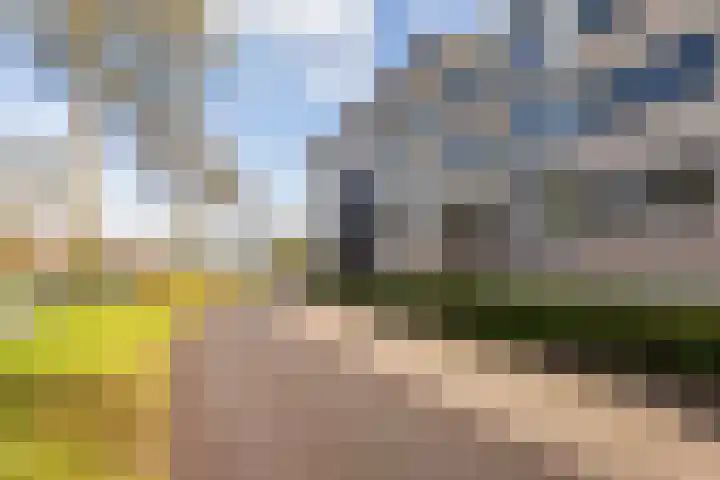 Laan van de Mensenrechten 138 Apeldoorn thumbnail 5