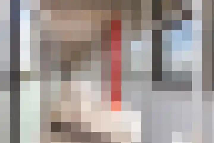 Laan van de Mensenrechten 138 Apeldoorn thumbnail 7