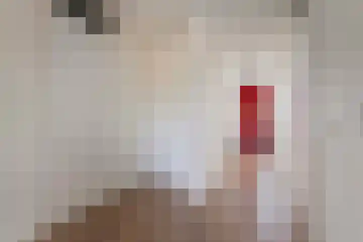 Laan van de Mensenrechten 138 Apeldoorn thumbnail 9