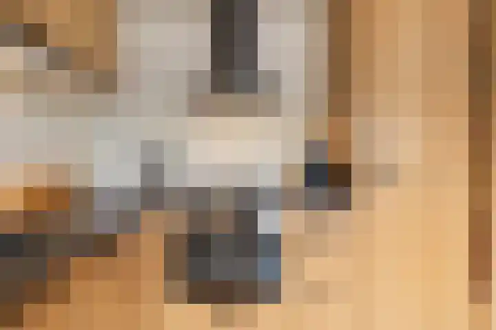 Laan van de Mensenrechten 174 Den Haag thumbnail 13