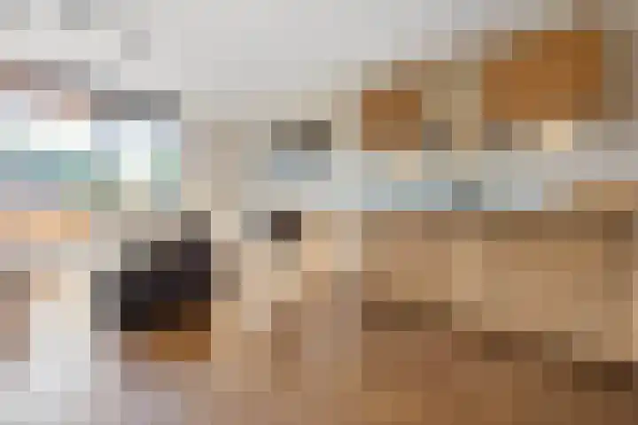 Laan van de Mensenrechten 174 Den Haag thumbnail 15