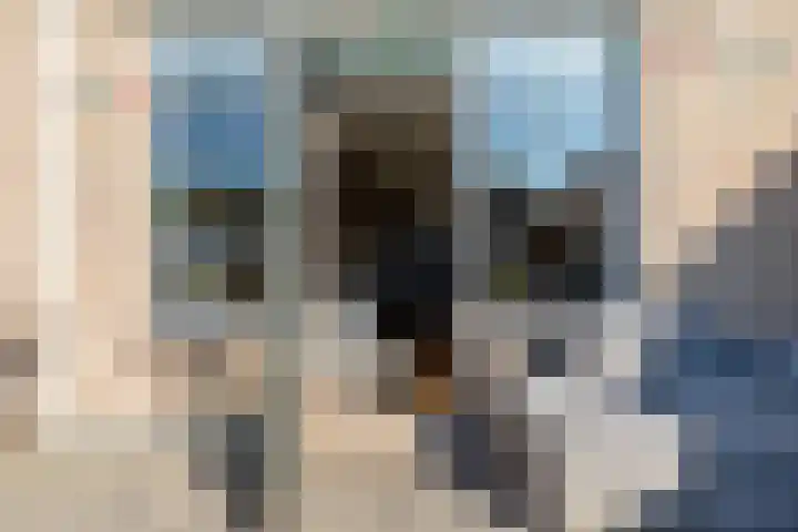 Laan van de Mensenrechten 174 Den Haag thumbnail 24