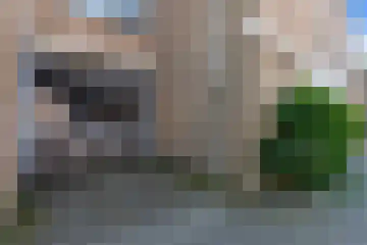 Laan van de Mensenrechten 174 Den Haag thumbnail 34