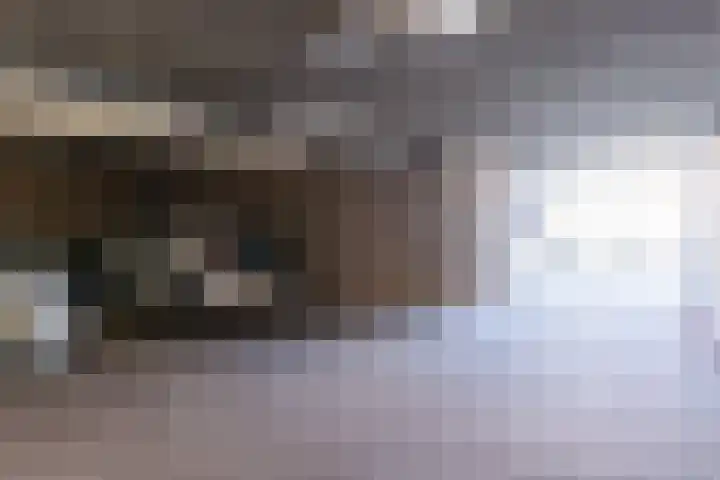 Laan van de Mensenrechten 174 Den Haag thumbnail 35