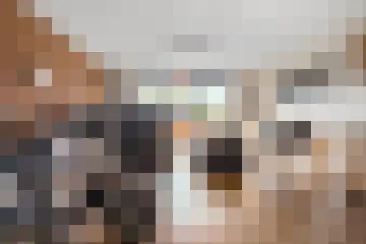 Laan van de Mensenrechten 174 Den Haag thumbnail 4