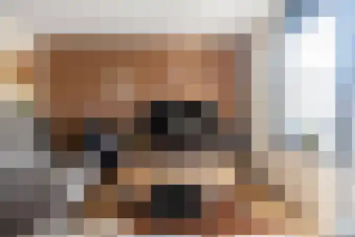 Laan van de Mensenrechten 174 Den Haag thumbnail 8