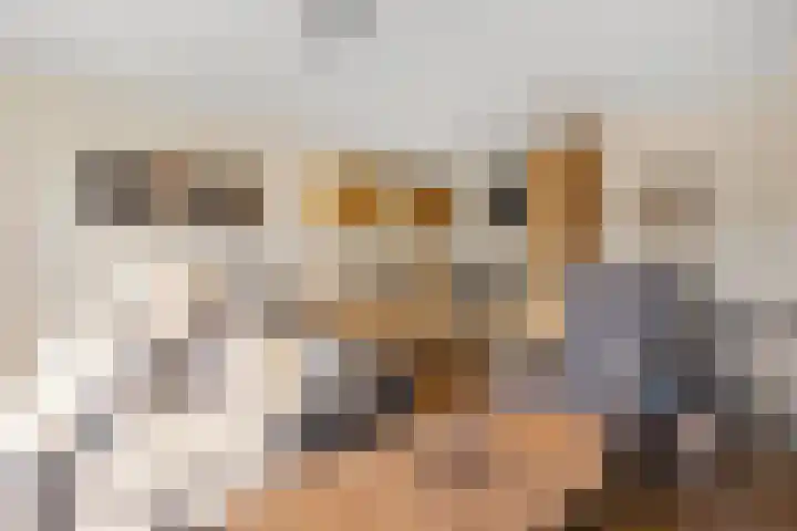 Laan van de Mensenrechten 174 Den Haag thumbnail 9