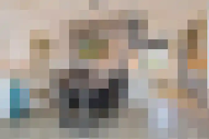Laan van de Mensenrechten 18 Den Haag thumbnail 18