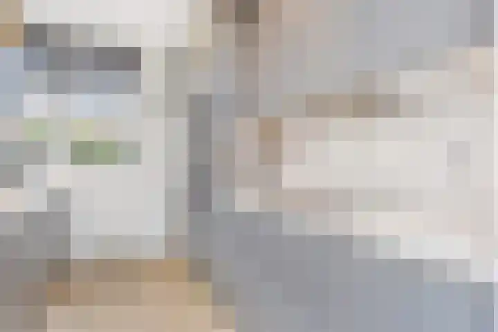 Laan van de Mensenrechten 18 Den Haag thumbnail 21