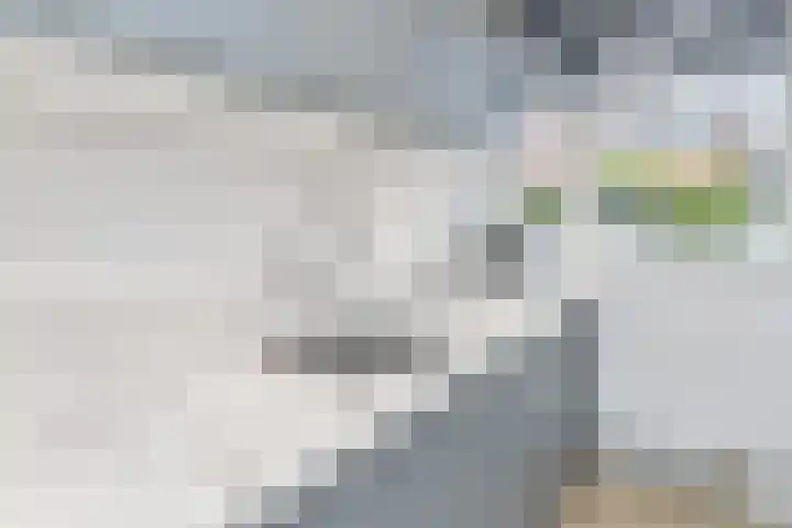 Laan van de Mensenrechten 18 Den Haag thumbnail 23