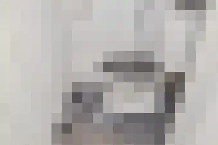 Laan van de Mensenrechten 18 Den Haag thumbnail 24