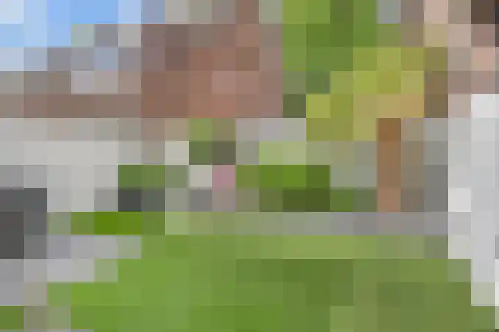 Laan van de Mensenrechten 18 Den Haag thumbnail 32