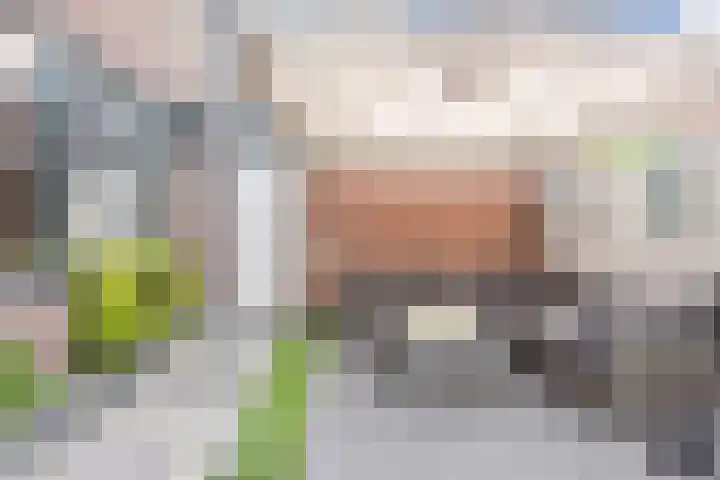 Laan van de Mensenrechten 18 Den Haag thumbnail 36