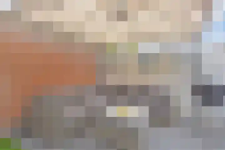 Laan van de Mensenrechten 18 Den Haag thumbnail 37